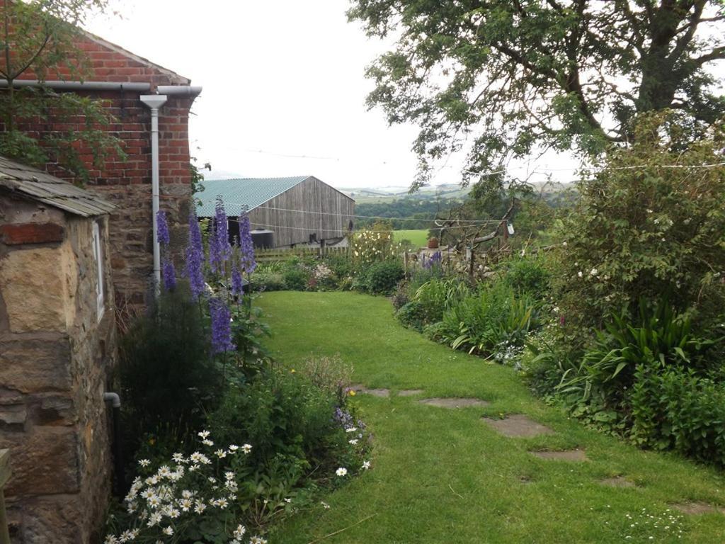 Hillis Close Farm Cottage Haltwhistle Exterior foto