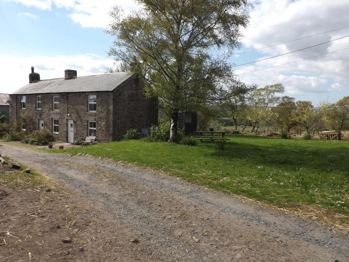 Hillis Close Farm Cottage Haltwhistle Exterior foto